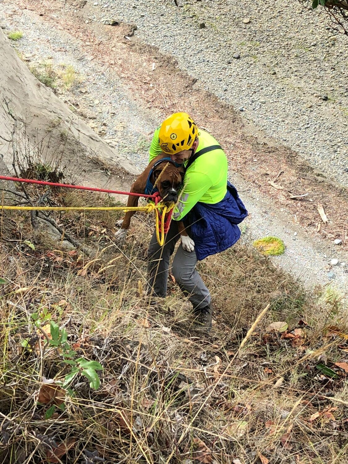JSAR assists Jefferson County Sheriff’s Office to rescue “George” the boxer that was stuck over the edge of a bluff on Marrowstone Island in September 2020. George was put into a K-9 harness by volunteer rescuer Matt Stewart and lifted to safety with a twin tension rope rescue system. Photos courtesy JSAR